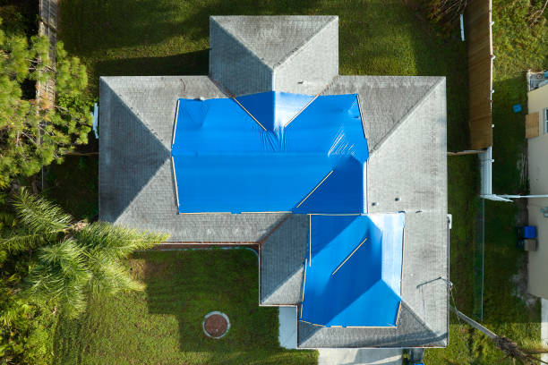 Best Chimney Flashing Repair  in Williamsport, OH