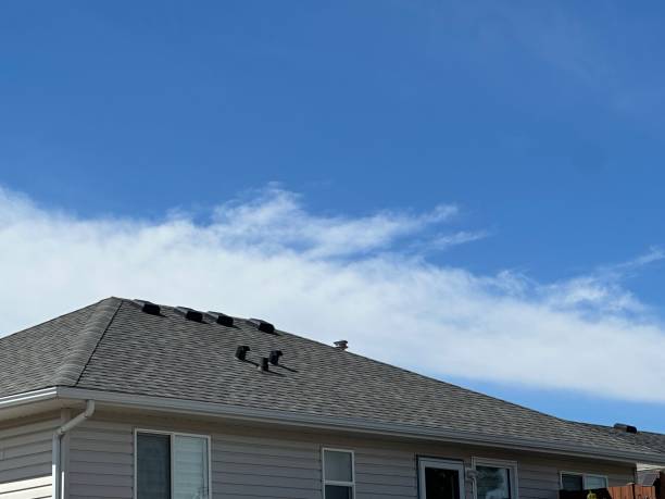 Best Roofing for New Construction  in Williamsport, OH
